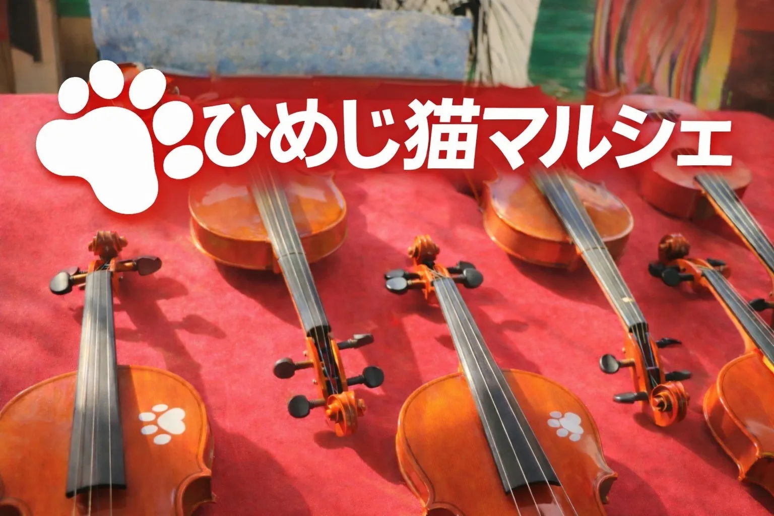 ひめじ猫マルシェで保護猫活動費を稼ぐ予定です。