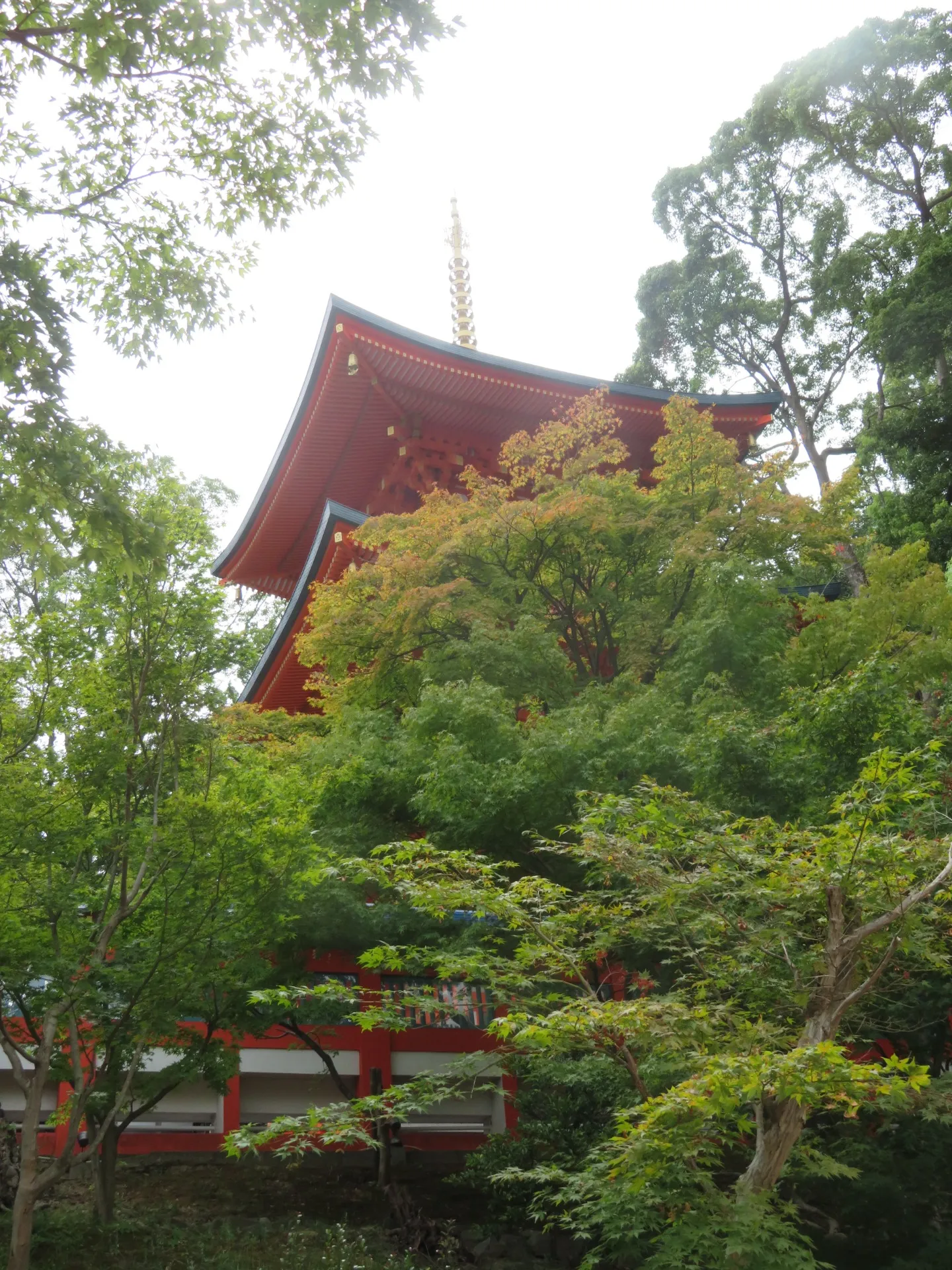 須磨寺でお客様の安全を祈願しました。