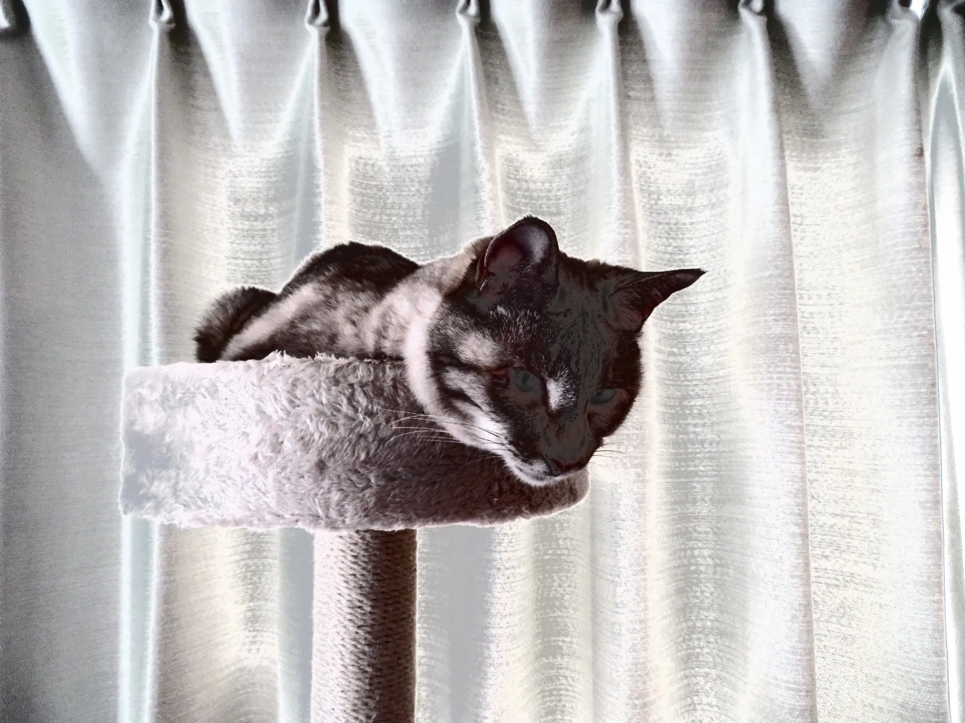 ライカで撮った写真です。