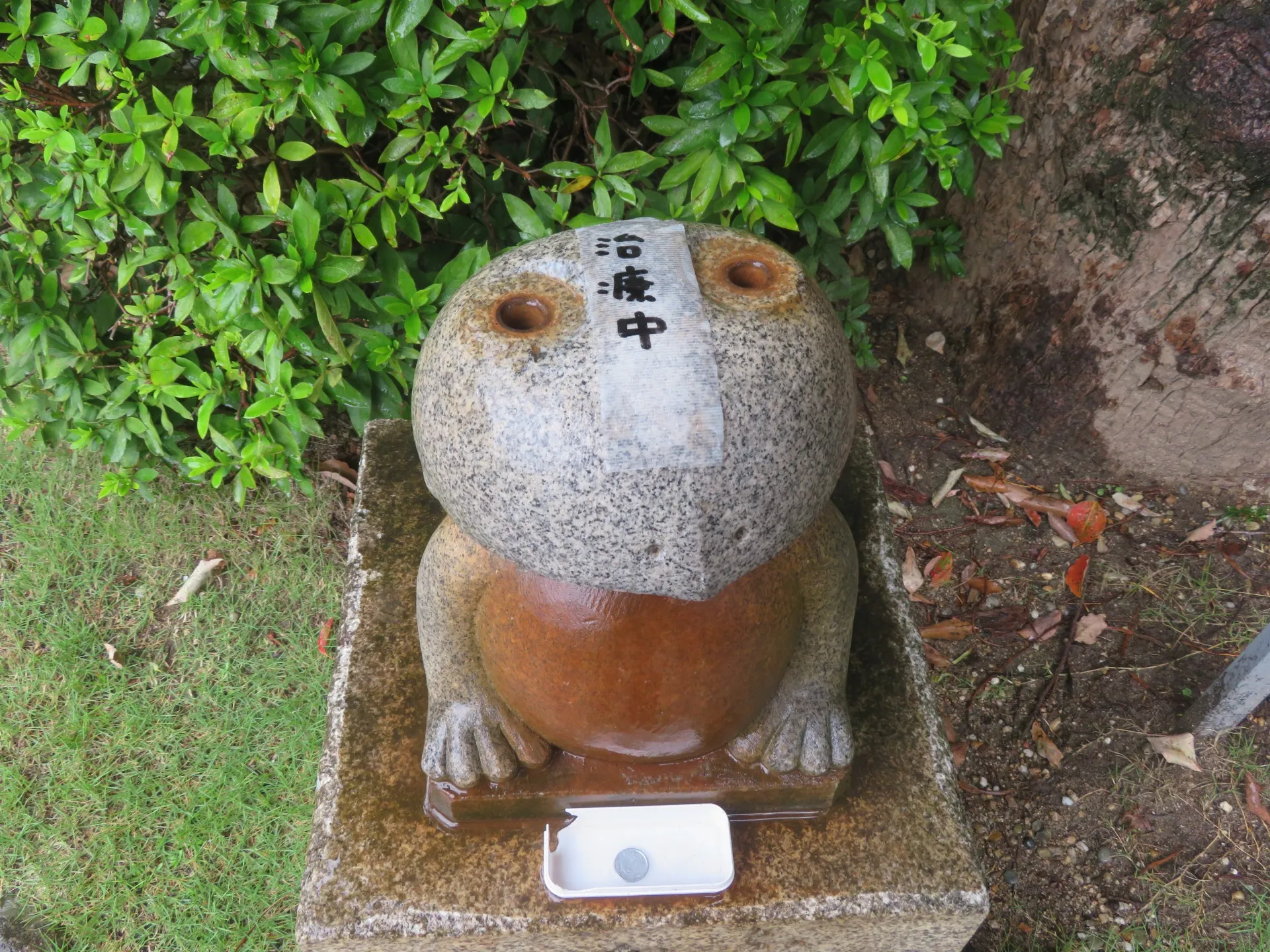 須磨寺のカエル故障中です！！！