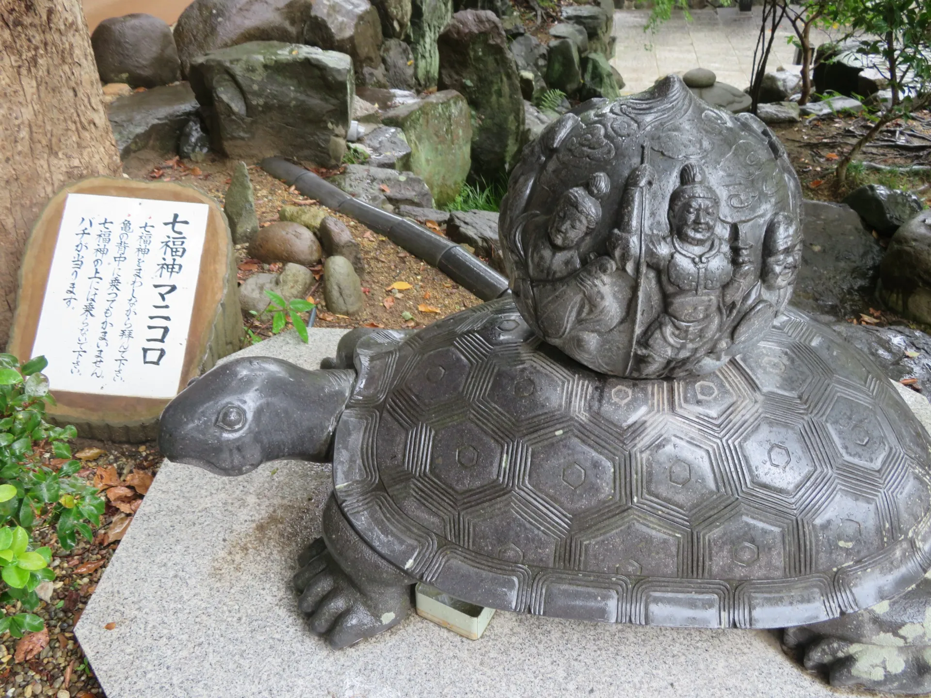 須磨寺のカメです。
